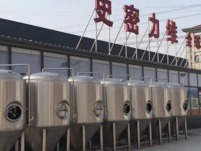 敦化精酿啤酒设备厂—市场规模与跨界新需求